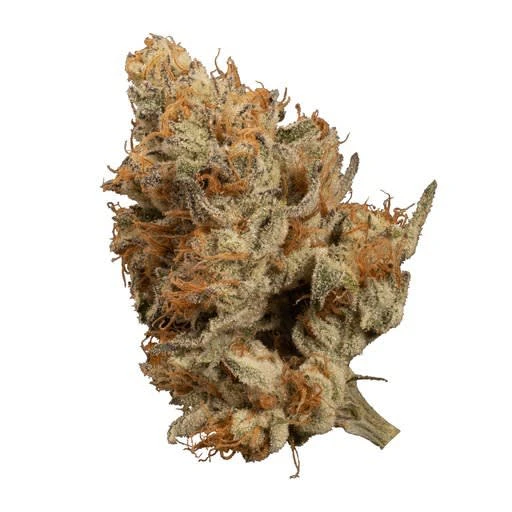 OGEN x OCEANIC - Bacio Punch 3.5g Dried Flower Main Image