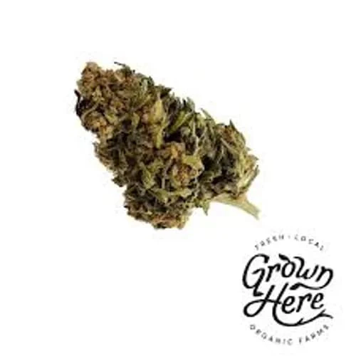 Grown Here Farms - GROWN HERE FARMS - CERTIFIED ORGANIC CBD FLOWER - 7G Main Image