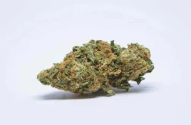 SALT SPRING MAGIC - PINE TAR - 3.5G
