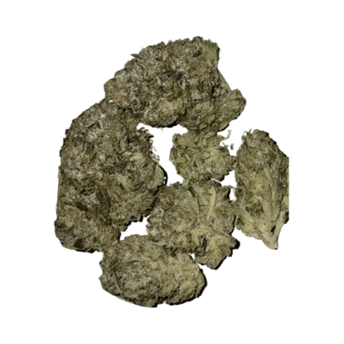 Salt Spring Magic - SALT SPRING MAGIC - TIMMY'S OG SHARK - 3.5G Main Image