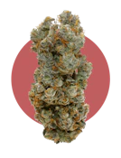 VICTORIA CANNABIS COMPANY - Helium 14g