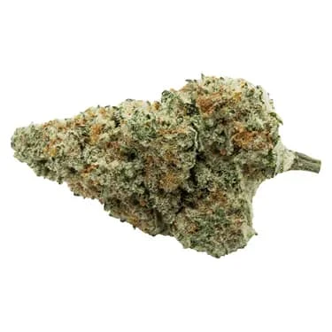 Woody Nelson Country Club - WOODY NELSON COUNTRY CLUB Banjo LTO | 14g Flower | Elevate Main Image