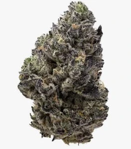 ISLANDER BC CRAFT CANNABIS - EL CHAPO 7G
