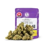 BC 1/4 - Hindu Kush LTO - 7g Main Image