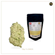 AAAA Kush ($10K Purple Kush x Original G13) 3.5g Flower