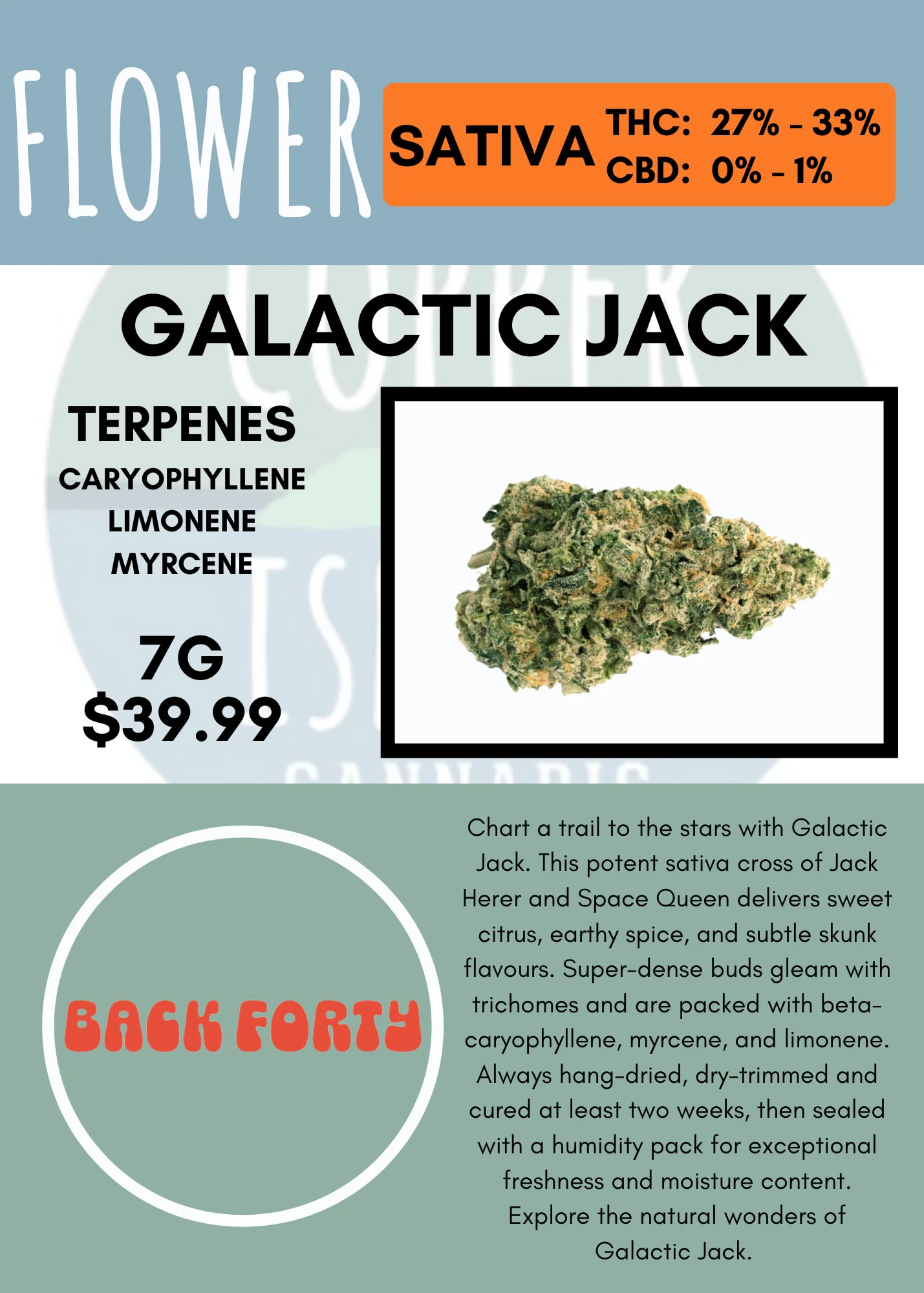 Back Forty - 7G - BACK FORTY - GALACTIC JACK Main Image
