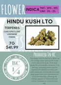 7G - BC 1/4 OZ - HINDU KUSH