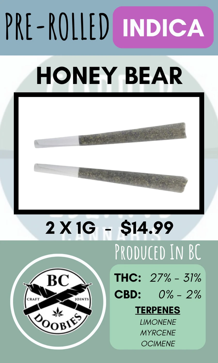 BC Doobies - BC DOOBIES - 2PK HONEY BEAR PRS Main Image