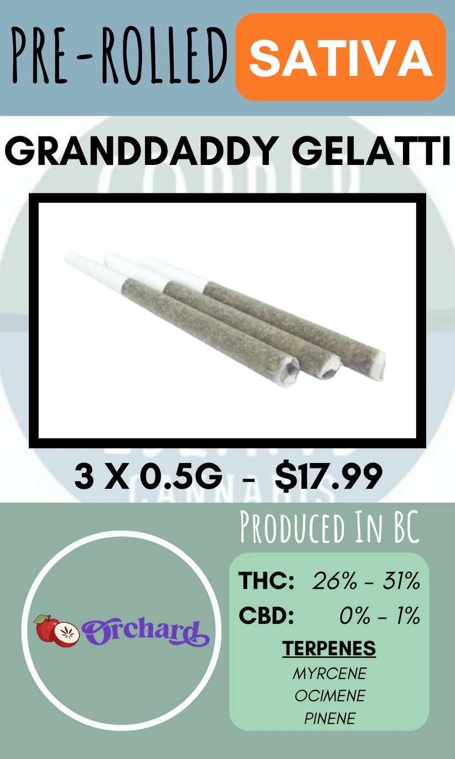 Orchard - ORCHARD - 3PK GRANDDADDY GELATTI PRS Main Image