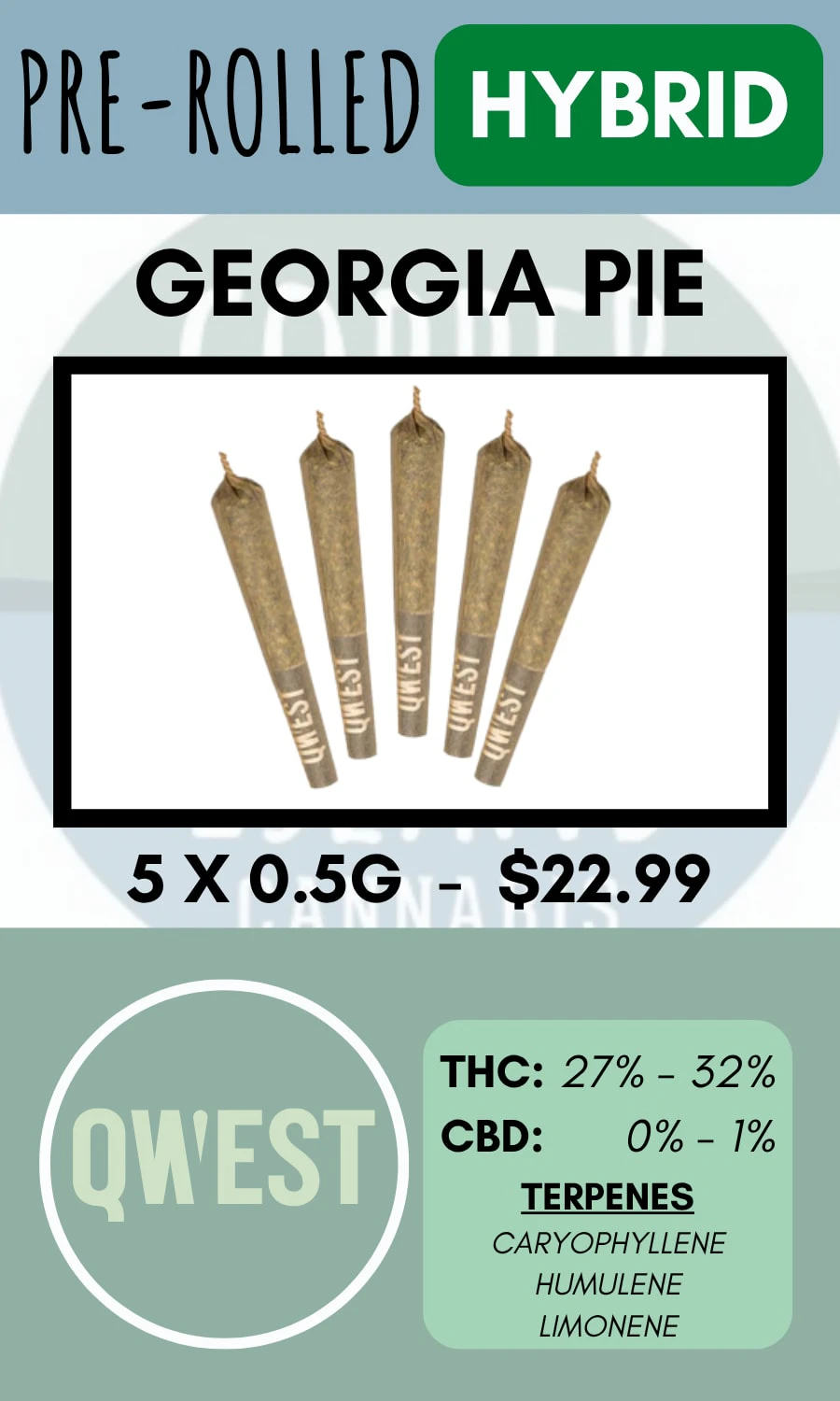 QWEST - QWEST - 5PK GEORGIA PIE PRS Main Image