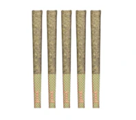 Yard - Lawn Darts Super Boof (5x0.5g)