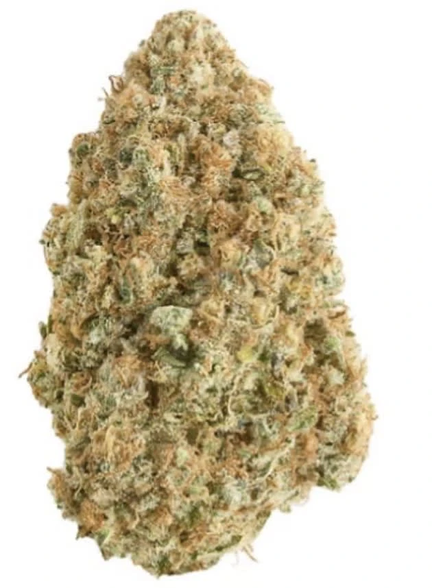 Broken Coast - Blue Dream 7g Dried Flower Main Image