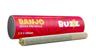 Buzz Cannabis - Banjo Pre Roll - 1 x 1g
