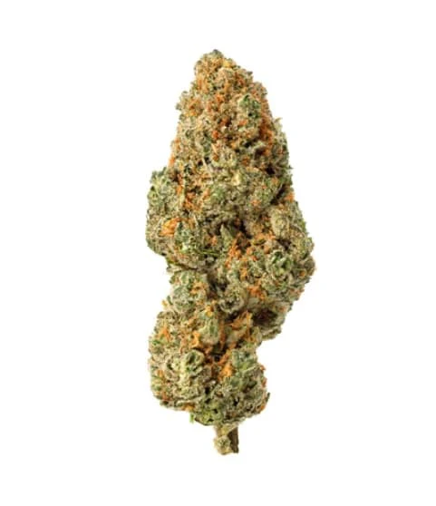 Homestead - Homestead | Bandwagon Sativa Rotational | 28 g Main Image