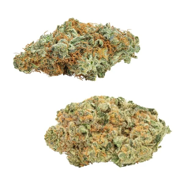 Big Bag O'Buds - Big Bag O' Buds | Comboz - Amnesia OG & Tropicanna Tangie | 2 x 14 g Main Image