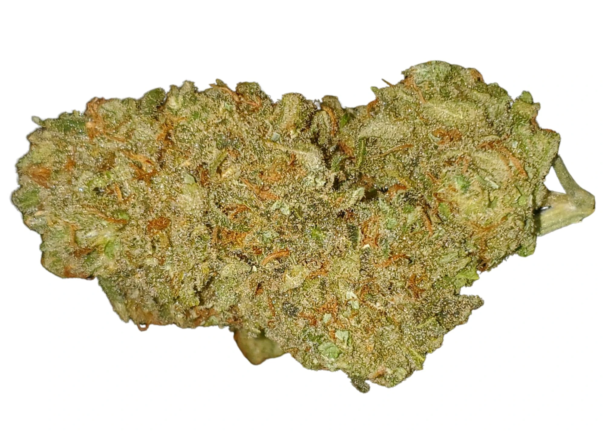 PAPA JOE'S ORGANICS - ROMULAN SMALLS ORGANIC | 7g Main Image