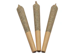 BLUEBERRY SHIZZLE ORGANIC | 3 x .5g