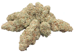 MANGO GOLD ORGANIC (ROSS'S GOLD) | 3.5g