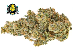BC ORGANIC DANCEHALL | 3.5g