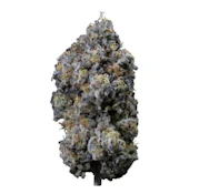 PINE MENTZ PETITES LTO - 3.5g