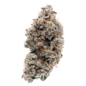 Frosted Guava Nuts 3.5g Dried Flower