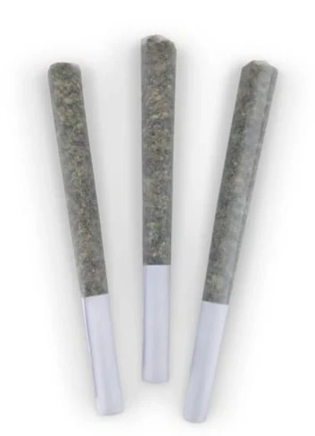 BC DOOBIES - CHOCOLOPE PRE-ROLLS - 3 x 0.5g Main Image