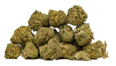 TOBAGROWN - TOBA'S BANANA PIE - 7g Main Image