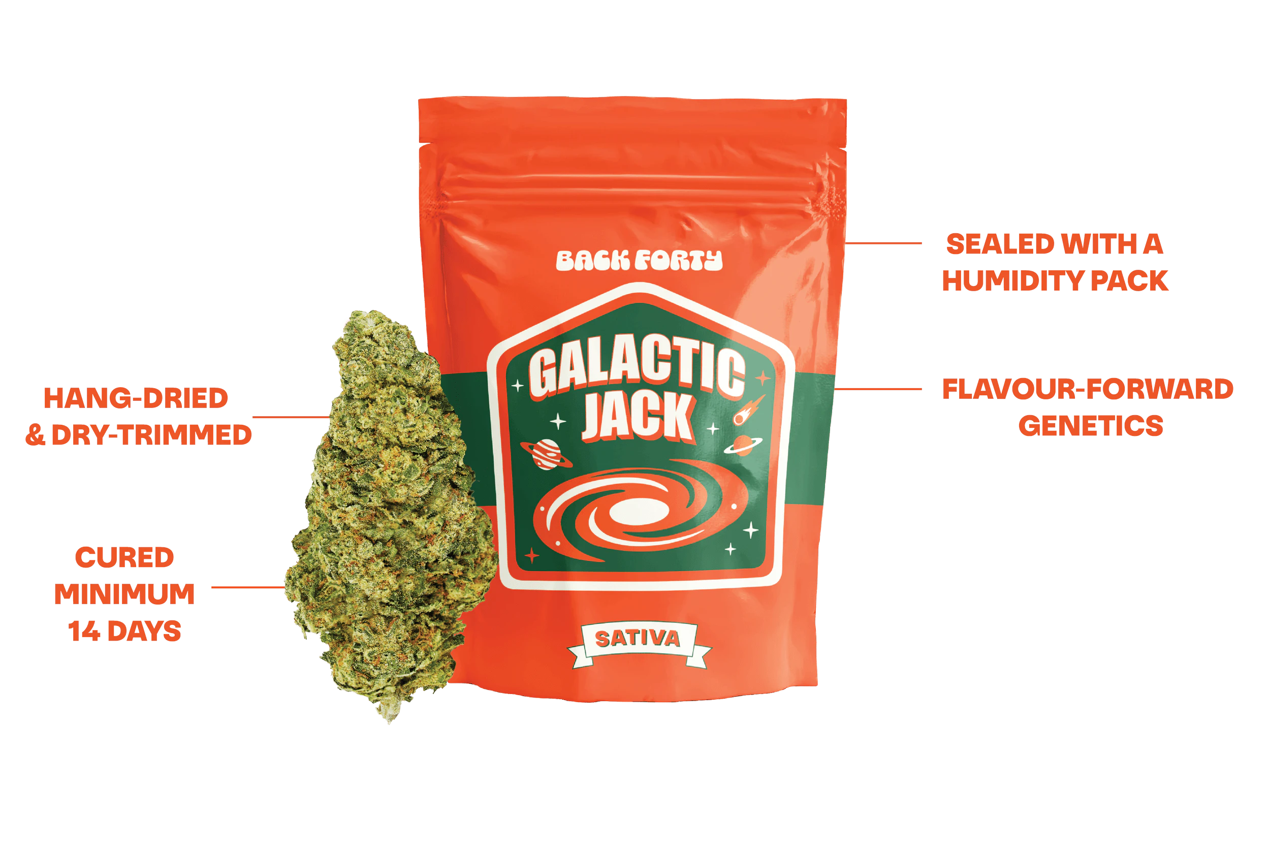 BACK FORTY - Galactic Jack 7g Dried Flower by Back Forty Main Image