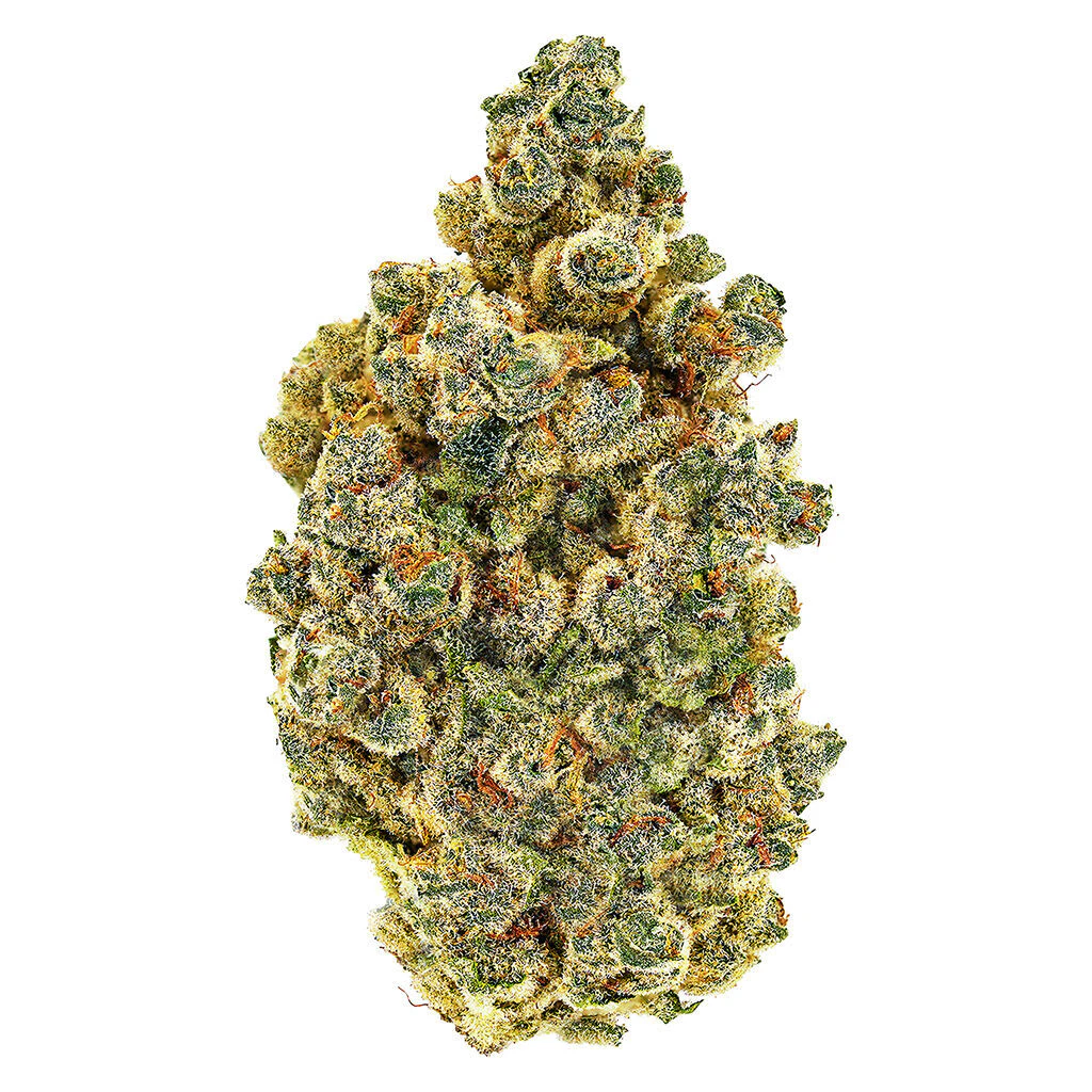 SOUTH POINT - Masterpiece 14g Dried Flower Main Image