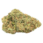 Fern - Mystery Gram Sativa - 1g
