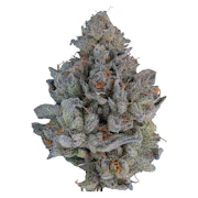 The Cut | Signal | 3.5g
