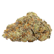 Platinum Crasher Craft Whole Flower 7g- Qwest