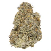 FIGR Chatty Kathy - Whole Flower 28g Dried Flower