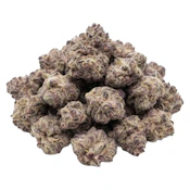 The Toronto Gas 7g Dried Flower