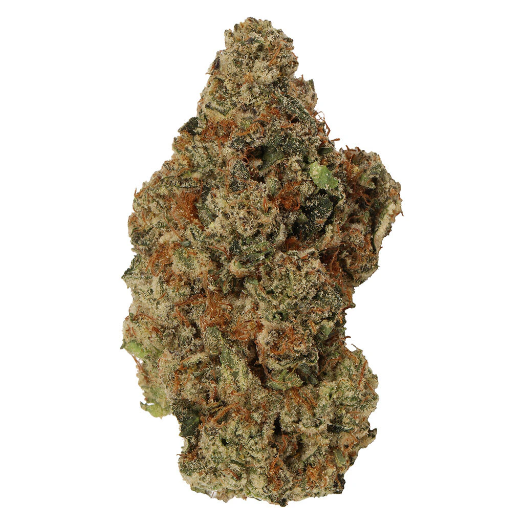 Carmel - Jelly Donut 14g Dried Flower Main Image