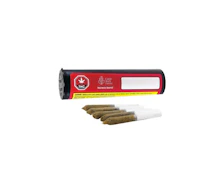 CASTLE ROCK FARMS Watermelon Waterfall | 5x0.5g Infused Pre-rolls | Rest