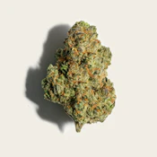 Day Tripper - 28g