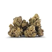 TRASH PANDA 3.5G