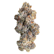 Tractor Fuel 7g Dried Flower