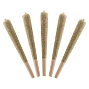Watermelon 5 x 0.5g Infused Pre-Rolls