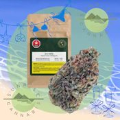 BEACH WEDDING - WOODY NELSON  - 7G