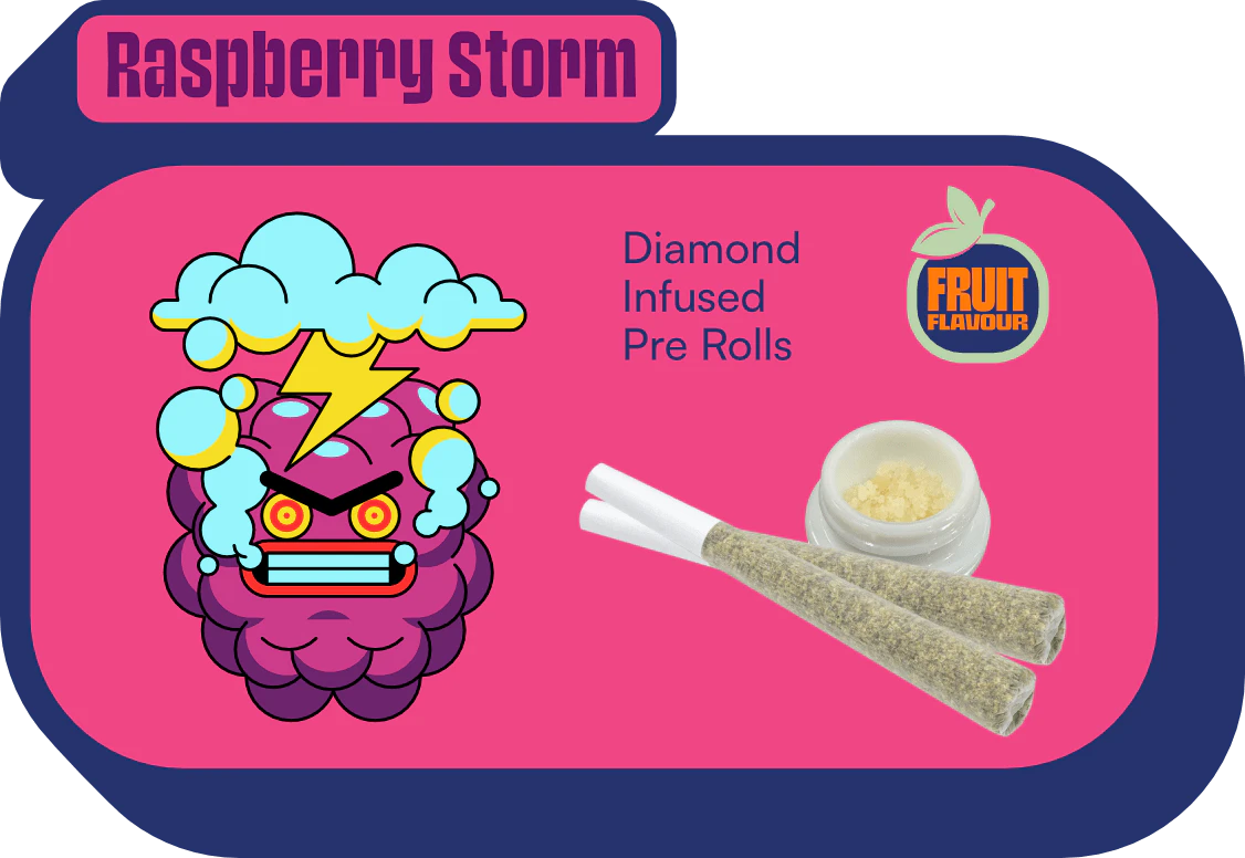 TERRA LABS - Raspberry Storm Diamond Infused (0.5g x 3PR) - Terra Labs Main Image