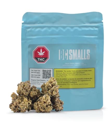 TRASH PANDA SMALLS - 3.5