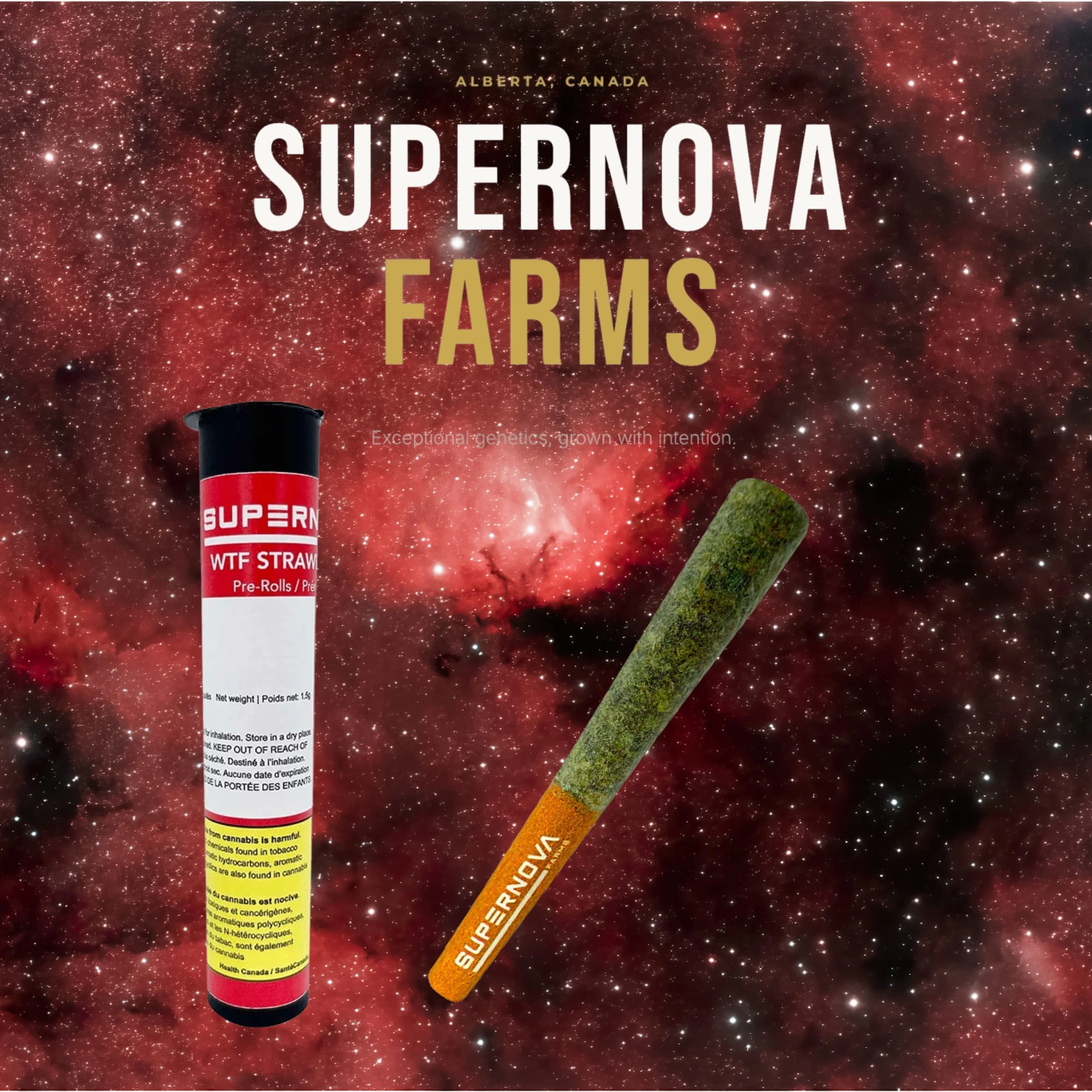 Supernova Farms Inc. - Supernova Farms WTF Strawberry 1 x 0.5 g Pre-Roll Main Image
