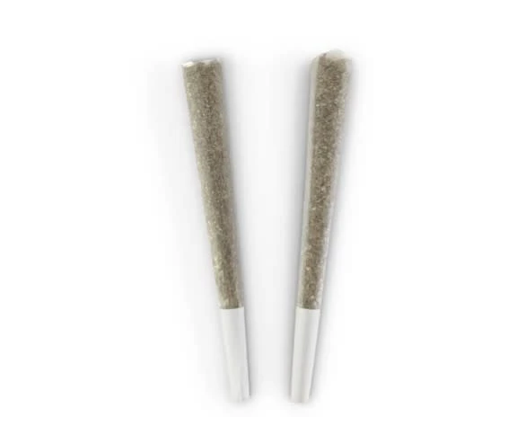 BC DOOBIES - BC DOOBIES - Sunset Sorbet Pre-Rolls 2x1g Main Image