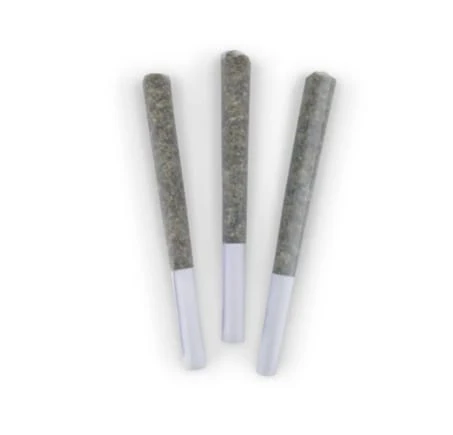 BC DOOBIES - CHOCOLOPE PRs - 3 x 0.5g Main Image