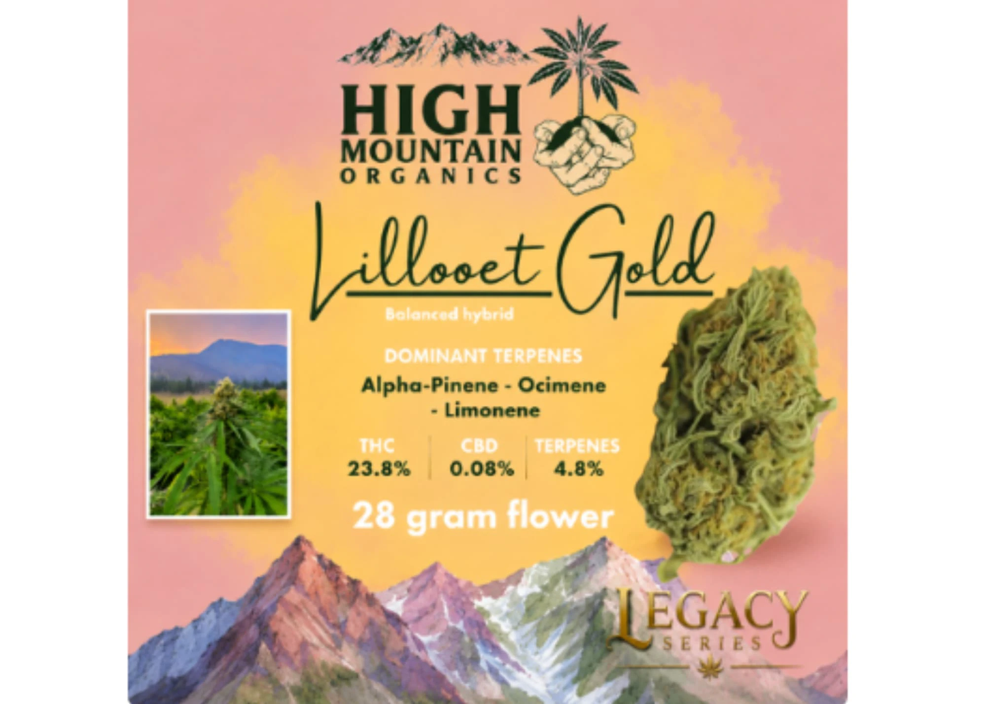 HIGH MOUNTAIN ORGANICS - LILLOOET GOLD ORGANIC FLOWER (LEGACY SERIES - SPOTLIGHT) | 28g Main Image