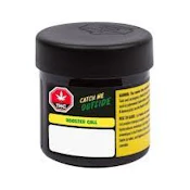 Catch Me Outside - Rooster Call - 14g