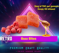 Retro Honey Oil Infused Raspberry 2 x 5mg Soft Chews Indica