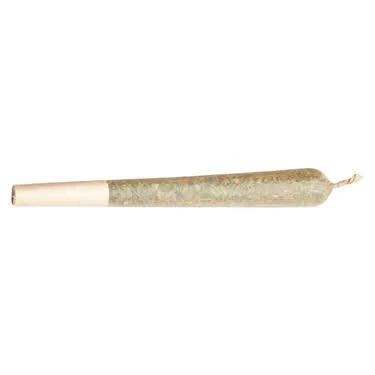Beach Bum - Beach Bum - Swordfish 5 x 1g Main Image